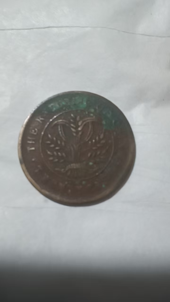 湖南省造双旗铜币