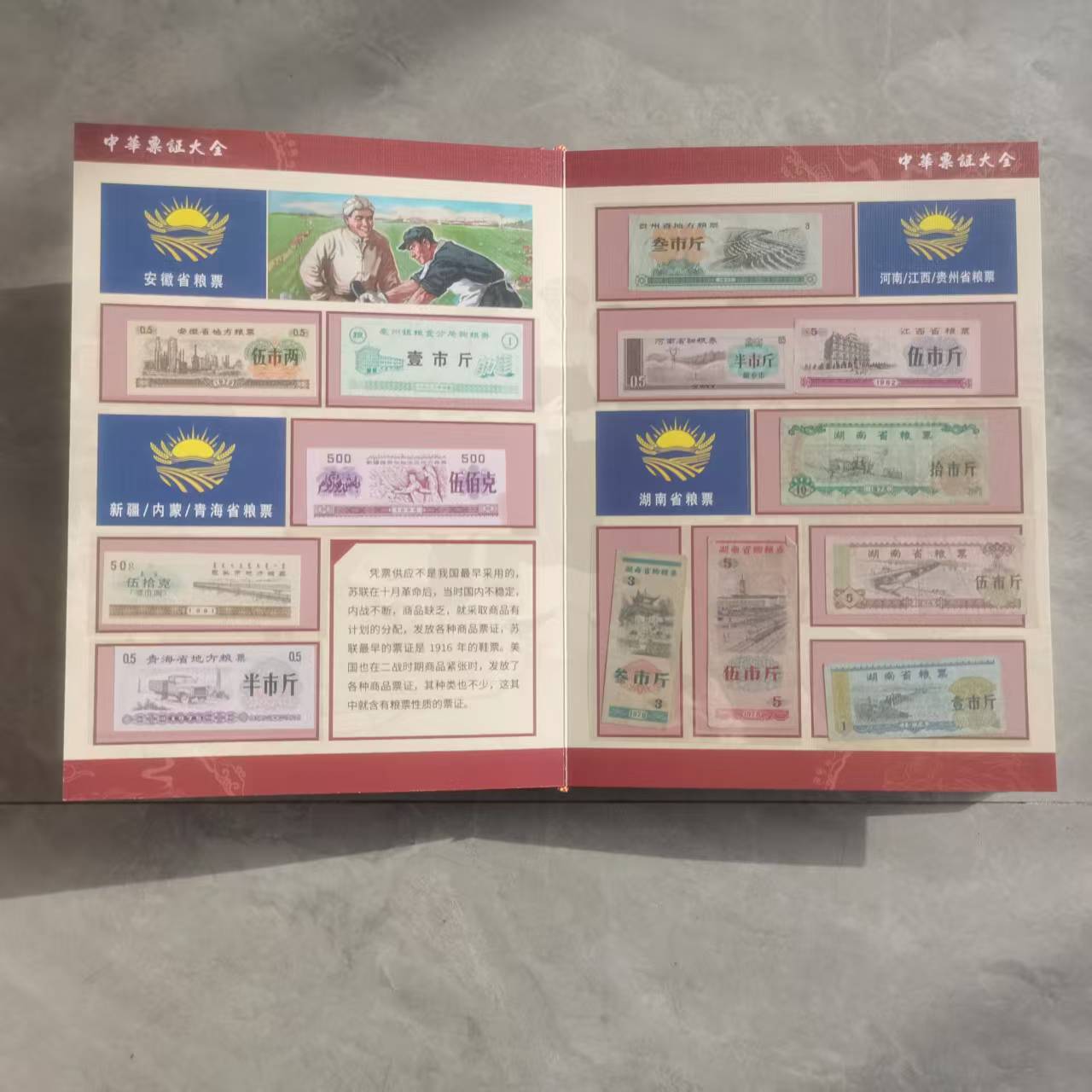 票证大全（一套）