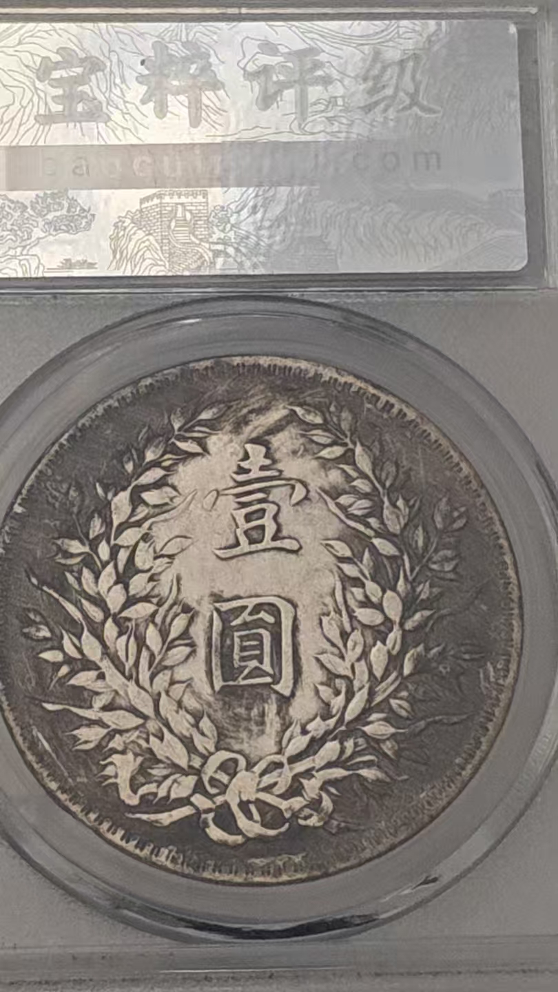 民国十年《袁像十年壹元》一枚