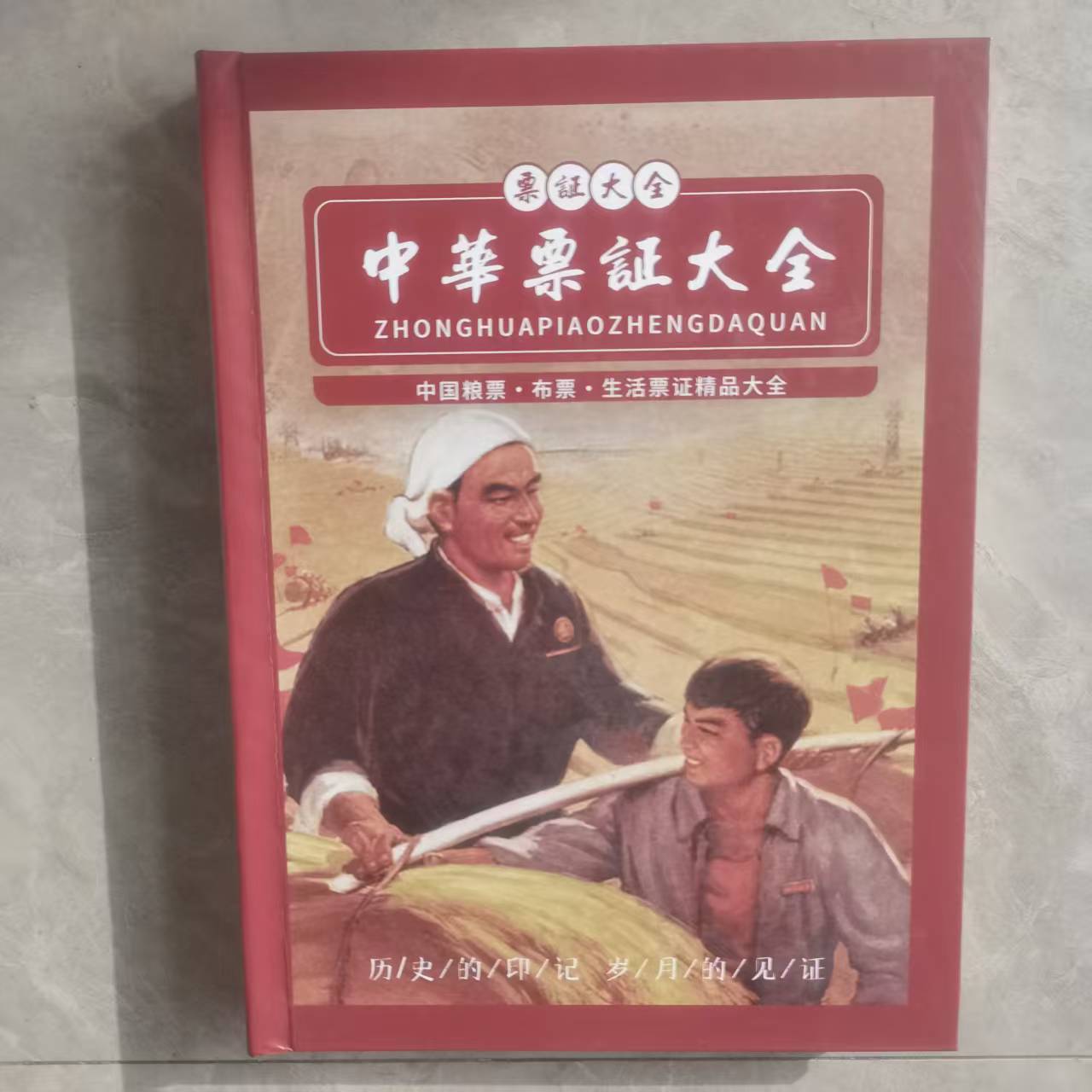 票证大全（一套）-嘉城艺术交易平台