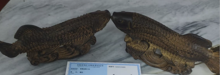 富森金斑土沁《龙鱼》一对-嘉城艺术交易平台