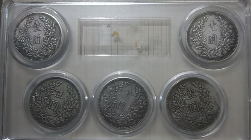 袁大头《一元》