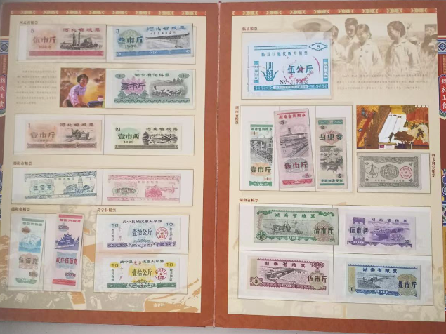 粮票、布票（一套）