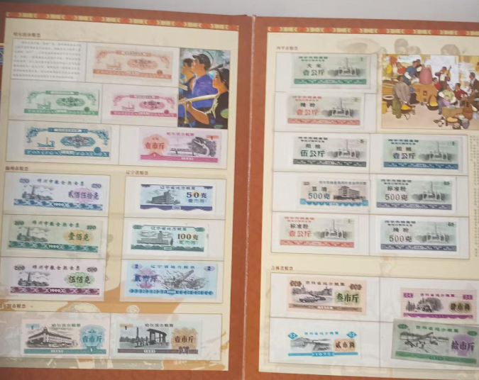 粮票、布票（一套）-嘉城艺术交易平台