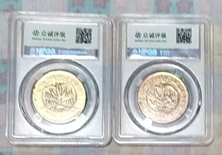 湖南《双旗铜币二十文》（2枚）