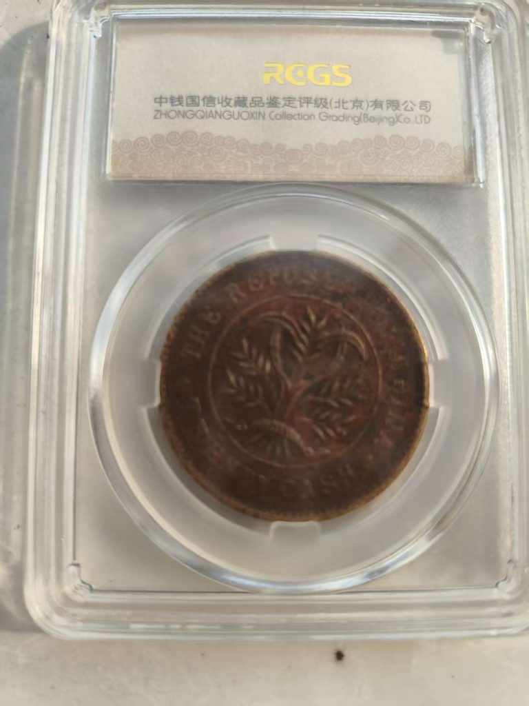 图片[2]-湖南省造双旗铜币《二十文》-嘉城艺术交易平台