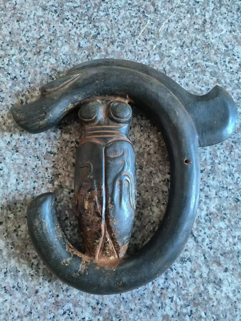 图片[1]-高古玉《 C型龙衔蝉》-嘉城艺术交易平台