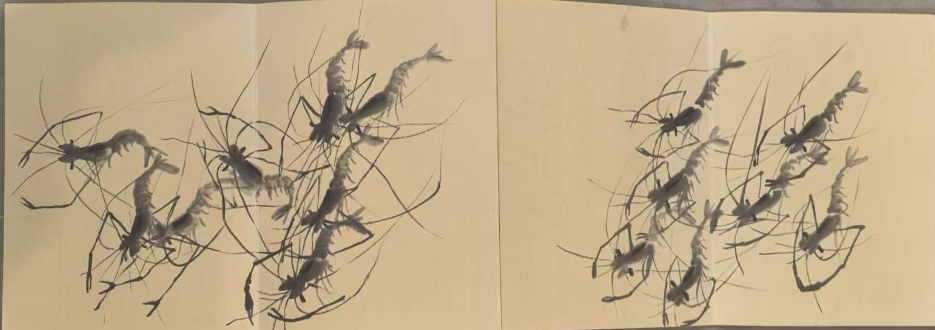 图片[2]-齐白石《墨虾图》合集-嘉城艺术交易平台